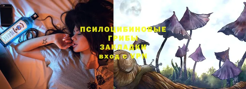 Псилоцибиновые грибы Psilocybe  мега   Тавда 